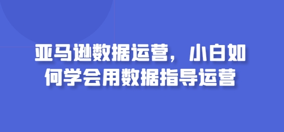 新手必看：亚马逊数据运营入门指南-小伟资源网