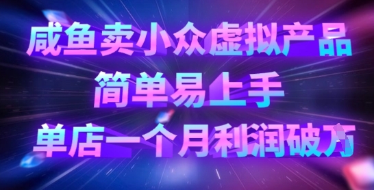 小众虚拟产品咸鱼开店攻略：轻松上手，月入过万不是梦-小伟资源网
