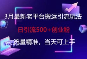 3月创业粉精准引流术：日引500+流量，新手当天上手-小伟资源网