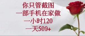 手机截图轻松赚钱:1小时120元,日入5单在家操作全揭秘-小伟资源网