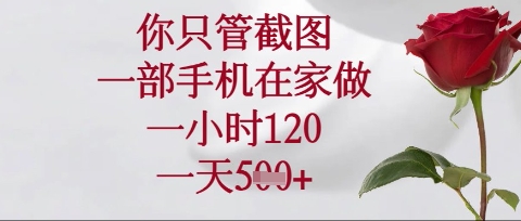 手机截图轻松赚钱：1小时120元，日入5单在家操作全揭秘-小伟资源网