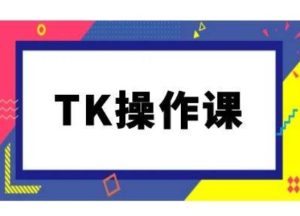 《TikTok跨境电商实战教程：从0到1运营指南（持续更新）》-小伟资源网
