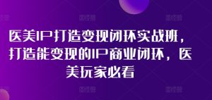 《医美IP变现实战课:从0到1打造商业闭环》-小伟资源网