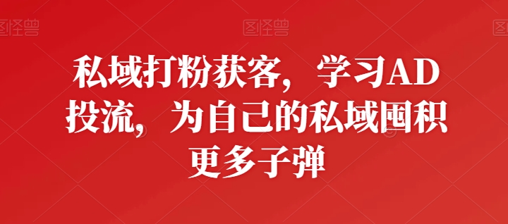 私域流量增长秘籍：AD投流高效获客，打造精准用户池-小伟资源网
