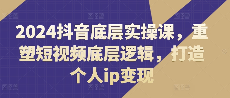 2024抖音短视频变现实战：重塑底层逻辑，快速打造个人IP-小伟资源网
