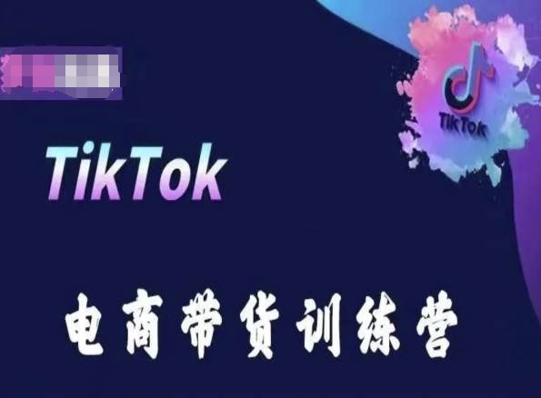 \”TikTok跨境带货训练营：抓住电商风口，掘金全球市场\”-小伟资源网
