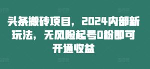 2024头条搬砖新玩法：0粉起号无风险，快速开通收益-小伟资源网