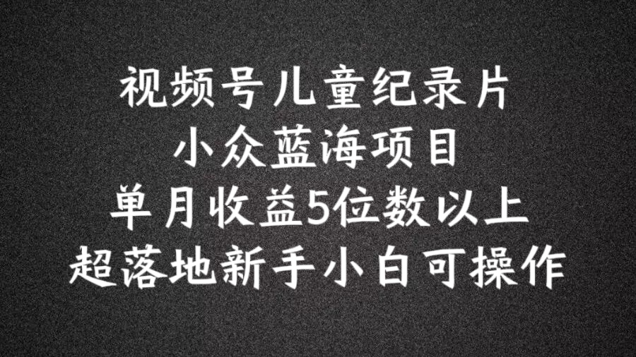 \”2024视频号儿童纪录片蓝海项目：新手月入5位数实操指南\”-小伟资源网