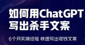 6个月ChatGPT文案实战：快速打造高转化收钱文案-小伟资源网