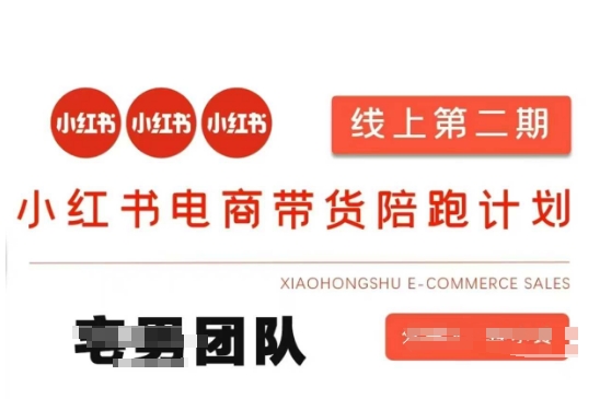 \”小红书电商暴利玩法：有/无货源+虚拟产品+付费投流，月入20W实战课\”-小伟资源网