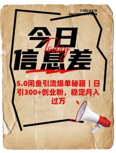 《闲鱼5.0爆单攻略：日引300+精准粉，轻松月入过万》-小伟资源网