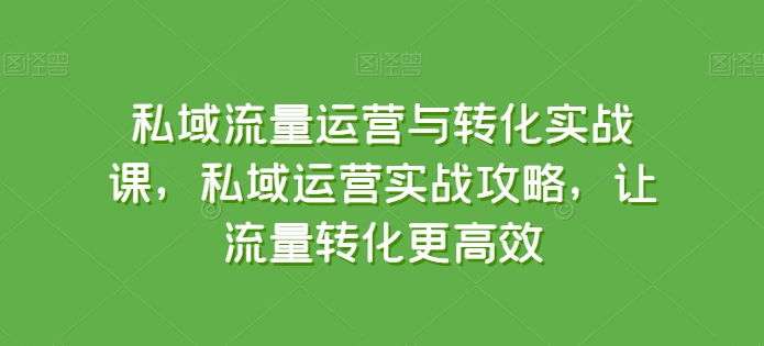 《私域流量高效转化实战课：运营攻略与变现技巧》-小伟资源网