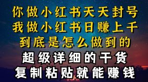 小红书引流变现秘籍：日引几十人、变现上千不封号的3大核心技巧-小伟资源网