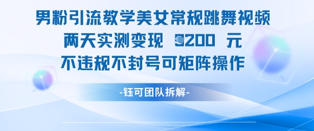 \”美女跳舞视频2天变现1k+，男粉引流矩阵实操，安全不封号\”-小伟资源网
