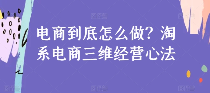 淘系电商三维经营秘诀：从0到1实战指南-小伟资源网