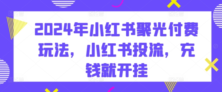 2024小红书投流攻略：聚光付费玩法解析，充钱即开挂-小伟资源网