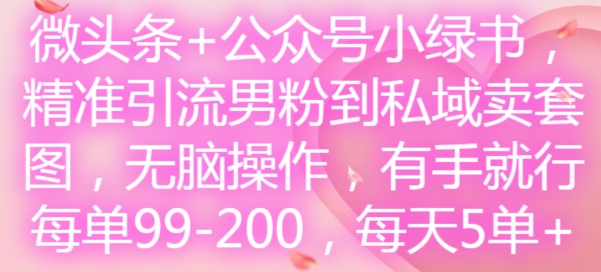 \”男粉精准引流：微头条+公众号卖套图，日赚500-1000元，简单易操作\”-小伟资源网