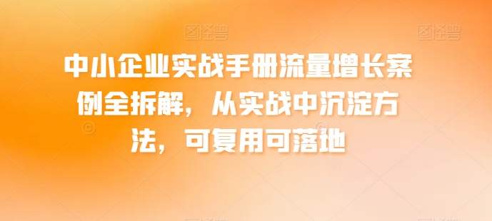 中小企业流量增长实战：可复用的落地方法与案例拆解-小伟资源网
