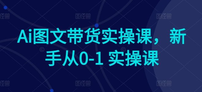 \”AI图文带货0基础速成：新手从0到1实战指南\”-小伟资源网