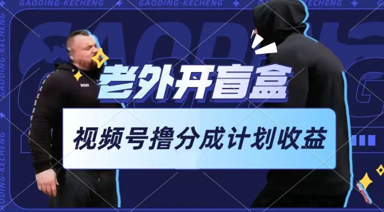 \”老外盲盒视频日赚攻略：1小时轻松上手，新手也能分杯羹【揭秘】\”-小伟资源网