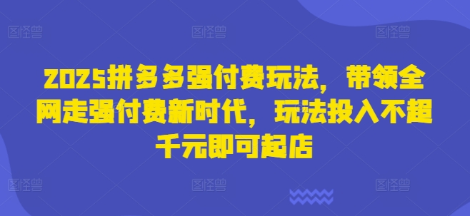 2025拼多多千元强付费起店攻略，引领电商新玩法-小伟资源网