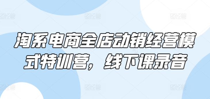 《淘系电商全店动销特训营线下课程实录》-小伟资源网