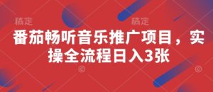 \”番茄畅听音乐推广:日赚3单实操全流程指南\”-小伟资源网