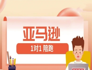 \”亚马逊FBA/FBM精铺1对1陪跑课：跨境运营实战教程\”-小伟资源网