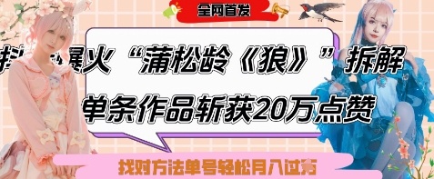 6条作品涨粉24W！爆款《狼》拆解，轻松起号月入过万-小伟资源网