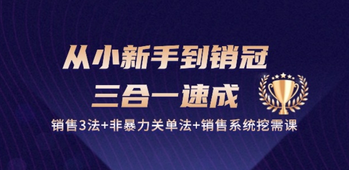 《新手变销冠：3大销售法+非暴力关单+系统挖需课（27节速成）》-小伟资源网