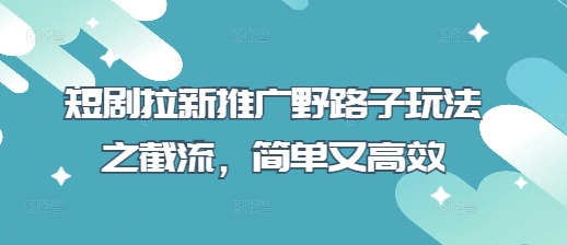 \”短剧推广截流玩法：简单高效的野路子拉新技巧\”-小伟资源网