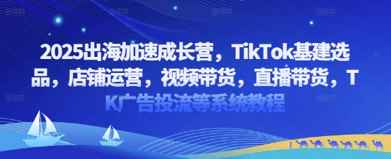 \”2025出海加速营：TikTok选品运营+直播广告全攻略\”-小伟资源网