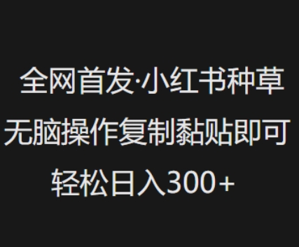 \”小红书无脑种草攻略：复制黏贴日赚300，新手必看！\”-小伟资源网