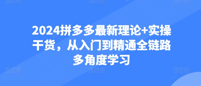 2024拼多多运营实战指南：零基础到精通全链路解析-小伟资源网