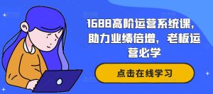《1688老板必修：高阶运营课，业绩倍增实战指南》-小伟资源网