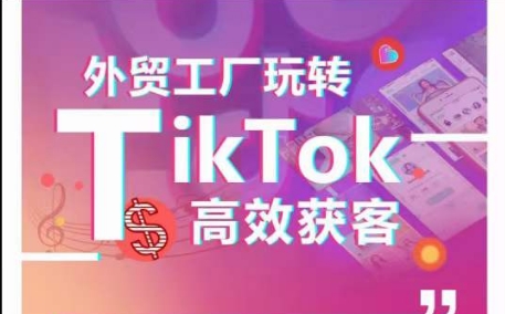\”外贸工厂TikTok高效获客指南：引流技巧+账号定位+爆款案例拆解\”-小伟资源网