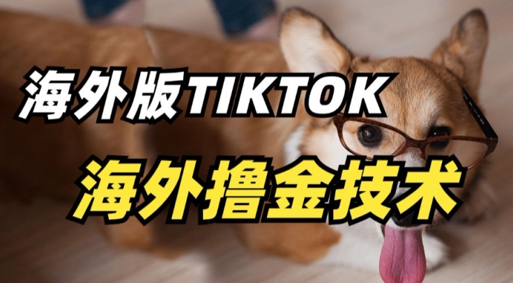 \”TikTok海外掘金术：揭秘轻松赚钱的风口红利\”-小伟资源网
