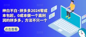 2024拼多多零成本创业指南:多方法打造高利润店铺-小伟资源网