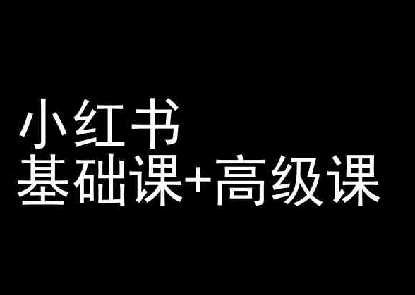 《小红书运营全攻略：从入门到精通实战教程》-小伟资源网