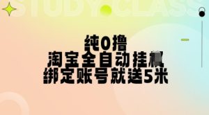 淘宝全自动挂机赚钱，0成本授权登录秒赚5元【多号多撸攻略】-小伟资源网