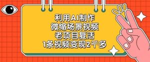 AI微缩场景视频：老项目翻新，单条轻松赚2k-小伟资源网