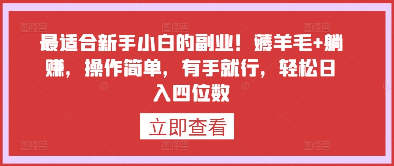 新手副业指南：零门槛薅羊毛，轻松日赚千元-小伟资源网
