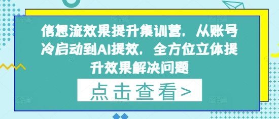 \”信息流集训营：从冷启动到AI提效，全方位提升投放效果\”-小伟资源网