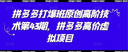 《拼多多高阶运营43期：虚拟项目暴利玩法揭秘》-小伟资源网