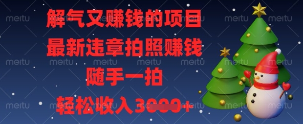 \”随手拍违章轻松赚钱！揭秘最新拍照挣钱项目，日入数百不是梦\”-小伟资源网
