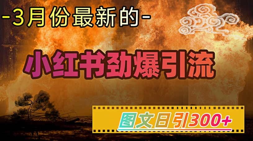 \”小红书爆款引流术：日引300+精准粉，轻松月入1W+\”-小伟资源网