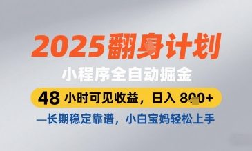 \”2025小程序自动赚钱攻略：48小时见效，日赚800+，新手宝妈零门槛【实战揭秘】\”-小伟资源网