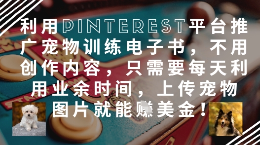\”零成本赚美金！Pinterest上传萌宠图推广训练电子书，业余时间轻松变现\”-小伟资源网
