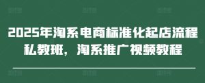 2025淘系电商起店私教班：标准化流程+推广视频教程-小伟资源网