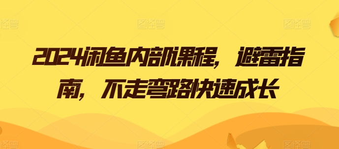 2024闲鱼实战攻略：避雷速成班，新手快速进阶指南-小伟资源网
